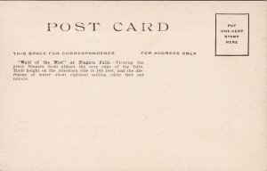 'Maid of the Mist' Boat Niagara Falls Ontario ON Unused Litho Postcard H37