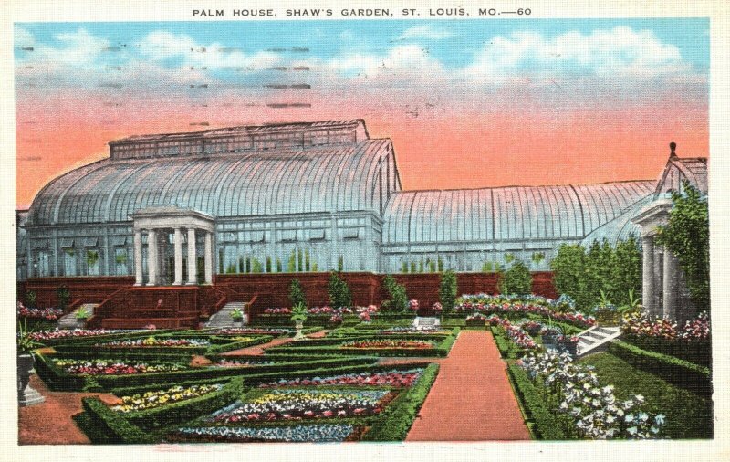 Vintage Postcard 1937 Palm House Shaw's Garden St. Louis MO Tropical