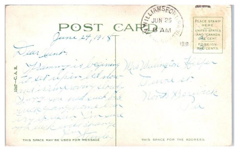 First Baptist Church, Williamsport, PA Postcard