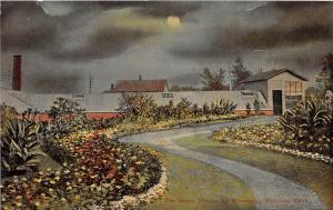 A9/ Bellevue Ohio Postcard c1910 Night Green House by Moonlight