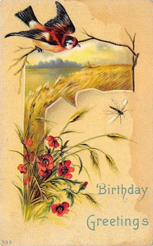Birthday Greetings Bug 1911 stain on front