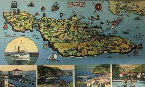 Catalina Island Cartoon Map CA Postcard California Linen Tourism