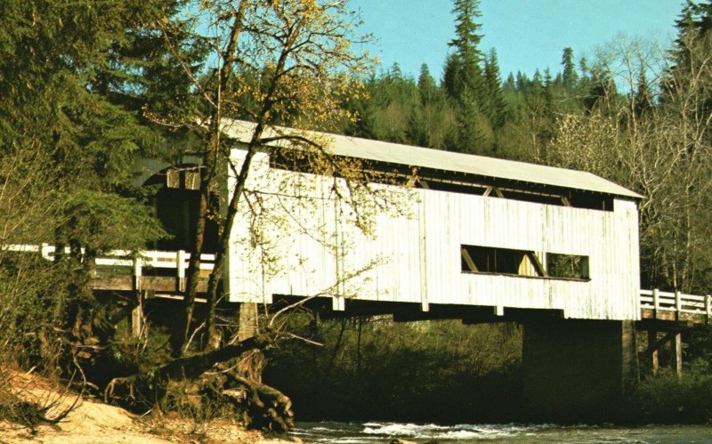 Vintage Postcard Wildcat Creek Bridge Scenic Covered Bridges Lane County Oregon