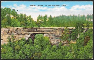 Natural Bridge Old Kentucky Unused c1930s