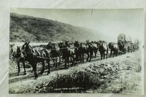 RPPC Freighting Team Near Redding, Ca. Vintage Postcard F71