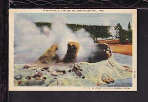 Grotto Geyser,Yellowstone National Park Postcard 