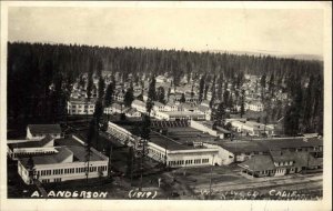Westwood CA Birdseye View 1919 Real Photo Postcard Depot Station