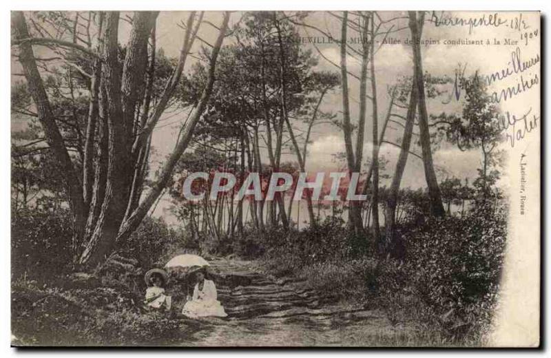 Varengevilles Old Postcard Allee trees leading to the sea