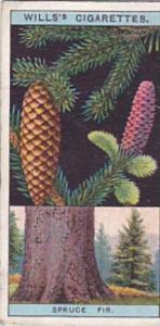 Wills Vintage Cigarette Card Flowering Trees &  Shrubs 1924 No 43 Norway S...