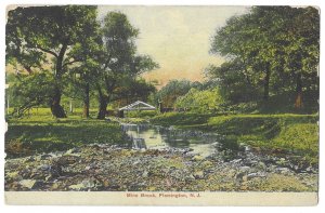 Mine Brook, Flemington, New Jersey Divided Back Postcard Mailed 1909