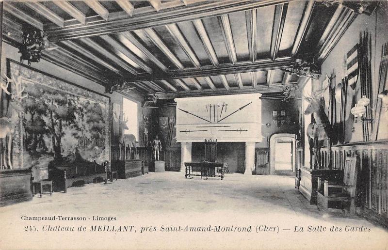 BF5064 pres saint amand montrond che chateau de meillant france  1 2    France