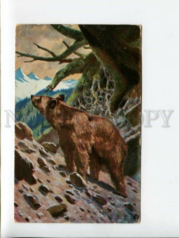 3170919 HUNT brown BEAR Vintage colorful BROILI PC