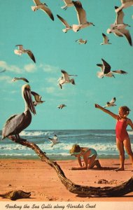 Children Two Little Girls Feeding Sea Gulls Along Coast Florida Vintage Postcard