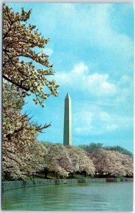 Postcard - Washington Monument, Cherry Blossom Time, Washington, D. C.
