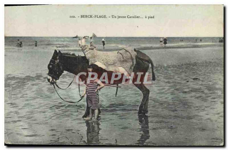 Old Postcard Donkey Mule Berck Beach A young horseman