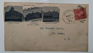 1893 J. & T. Adikes GROCERIES SEEDS POTATOES Supply Jamaica NY Mailing Envelope