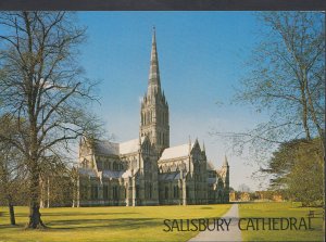 Wiltshire Postcard - Salisbury Cathedral   RR367