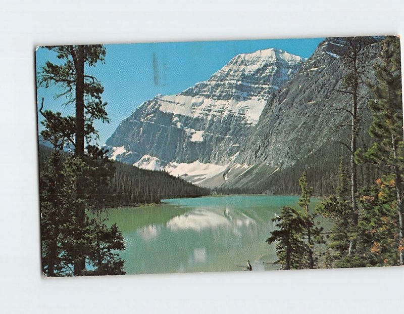 Postcard Mt. Edit Cavell Jasper Park Canada
