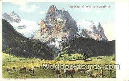 Rosenlaui mit Well Wetterhorn Swizerland Unused 