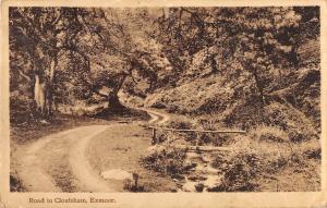 BR78869 road to cloutsham exmoor uk