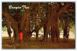 Maui Hawaii HI Postcard Banyan Tree With Its Aerial Root System c1960s Vintage