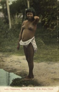 argentina, CHACO, India Chamacoco Aonél, Nude Indian Woman (1910s) Postcard