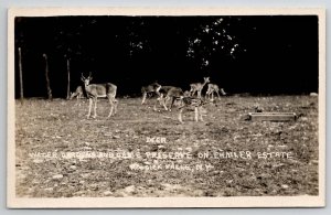 Hoosick Falls NY Deer Water Gardens Game Preserve On Ehmler Estate Postcard U25