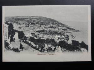 Cornwall MOUSEHOLE Panoramic View of Village & Harbour c1903 by Valentine
