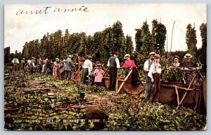 Farming~Scene Of Hop Picking Set Of Pickers @ Work~Postmarked~Vintage Postcard