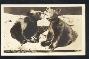 RPPC ALASKA BROWN BEARS KISSING AIN'T LOVE GRAND REAL PHOTO POSTCARD