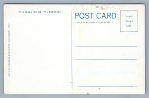 SANTA BARBARA CA STATE STREET ANTIQUE POSTCARD