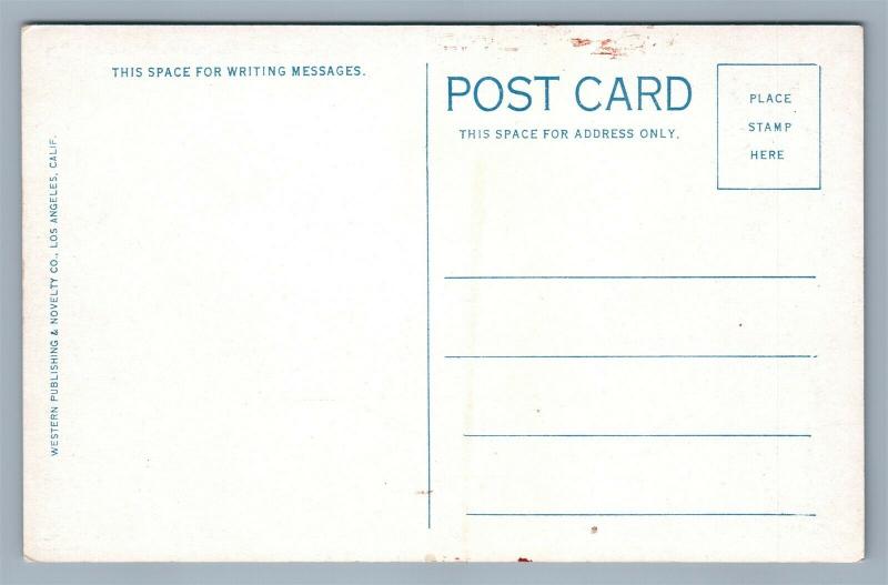 SANTA BARBARA CA STATE STREET ANTIQUE POSTCARD