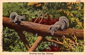 Alabama Greetings From Opp Curteich