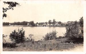 A77/ Wellston Michigan Real Photo RPPC Postcard c1930s Lake Homes 2