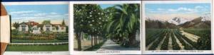 Beautiful California ca 16 views Orange Shaped mini postcard folder
