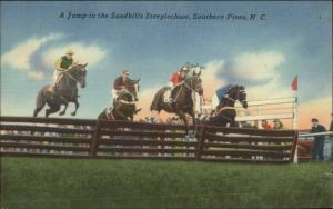 Southern Pines NC Sandhills Steeplechase Horse Riding Linen Postcard