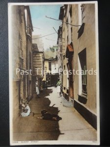 Cornwall LOOE Quaint Street - Children Playing with Dog - Old Postcard by 76521