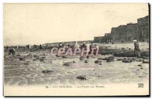 Old Postcard Luc Sur Mer La Peche Aux Moules