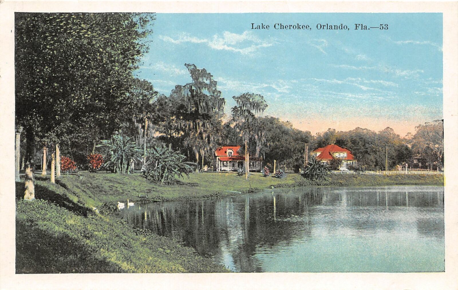 Orlando Florida vintage postcards-cd 