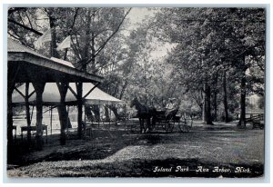 1909 Island Park Carriage Scene Ann Arbor Michigan MI Posted Vintage Postcard 