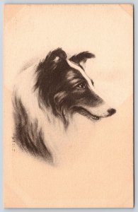 Collie Pet Dog Black And White Portrait Painting Artwork Postcard