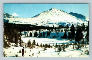 AK- Alaska, Denali Highway, McKinley Park, White Snow Mountain, Chrome Postcard