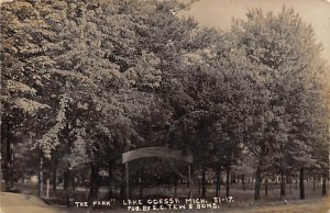 Lake Odessa Park Real Photo - Lake Odessa, Michigan MI  