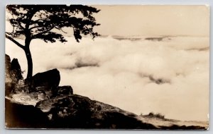 Lookout Mountain TN Battle Above The Clouds As They Were  Postcard C40
