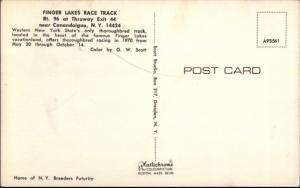 Near Canandaigua NY Finger Lakes Horse Race Track Old Postcard