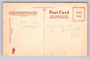 K9/ Berlin Center Ohio Postcard c1910 McAdam Road Homes 200