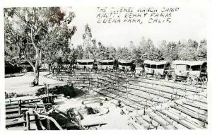 CA, Buena Park, California, Knotts Berry Farm, Covered Wagon Camp, RPPC