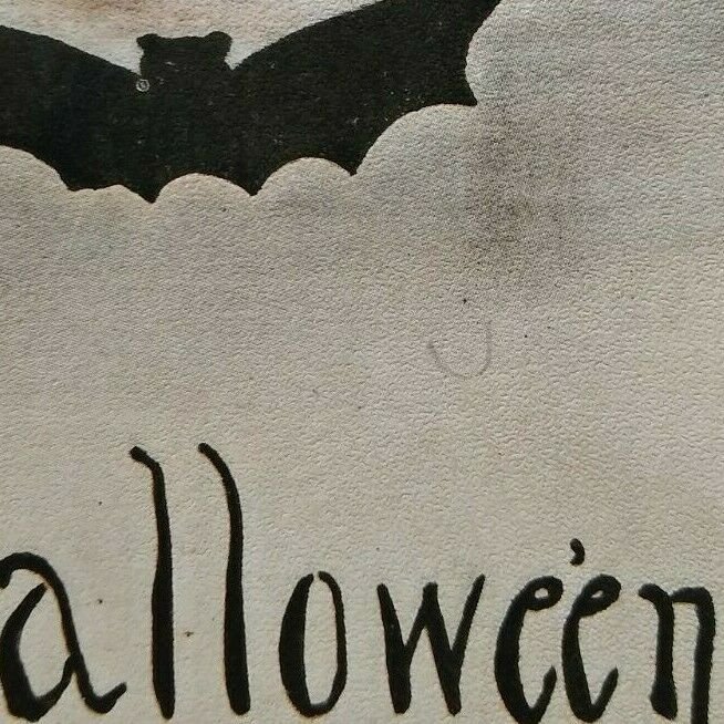 Vintage Halloween Postcard Gothic Bats Series 858 MHS FA Owen 1911 Original