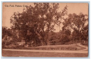 1911 Trees Scene City Park Putnam Connecticut CT Antique Posted Postcard 