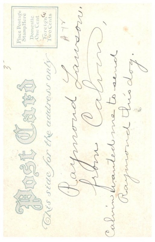 Dog ,  Russian Wolfhound